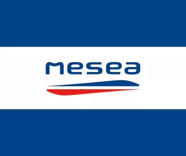 Illustration de MESEA - mécène